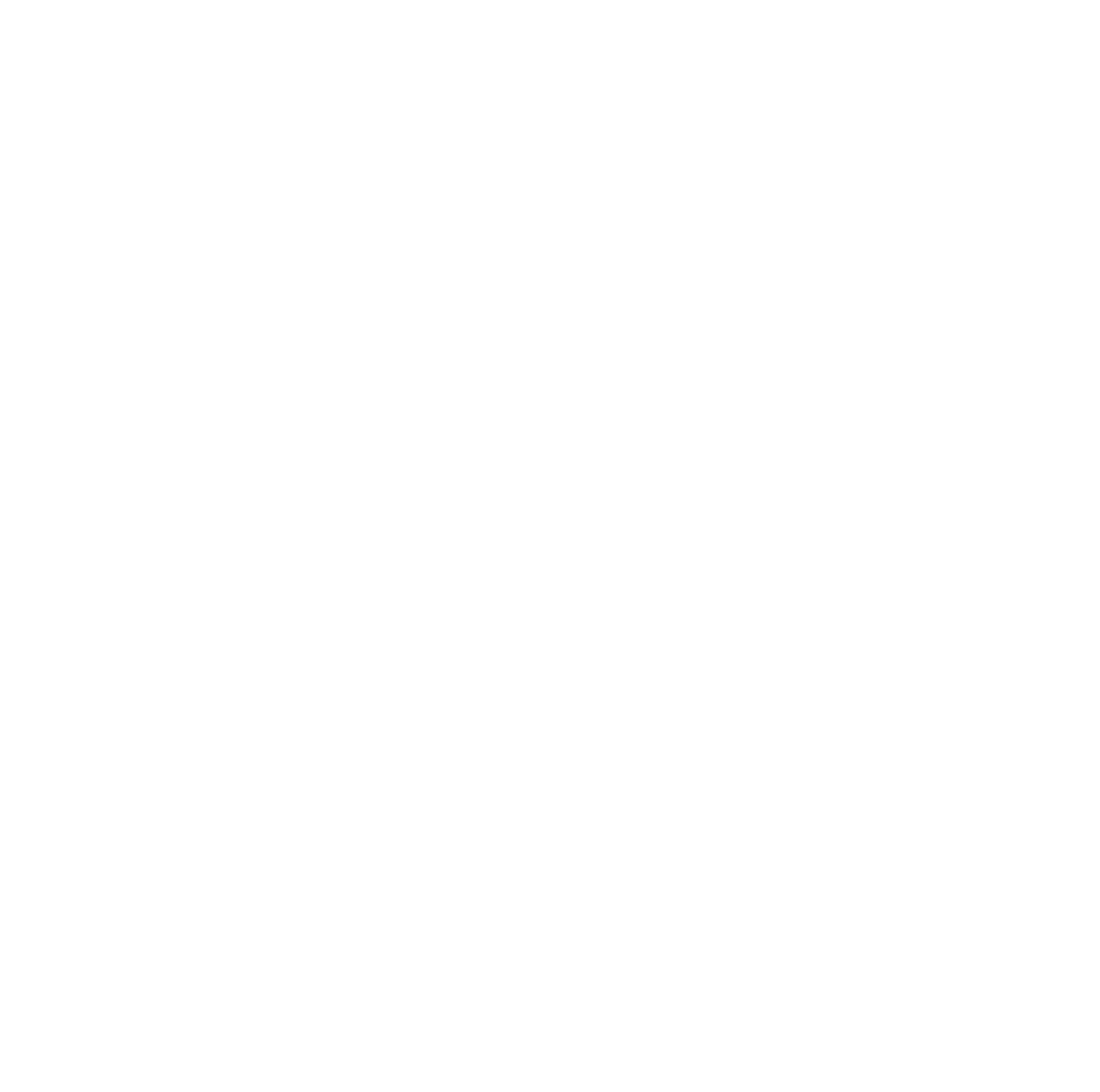 Placebo icon